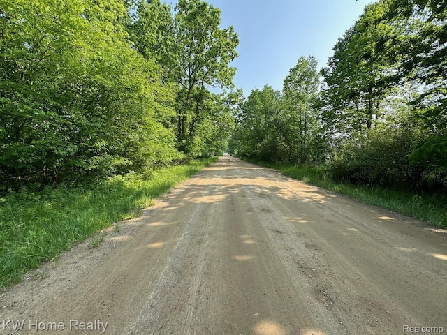 4456 Five Lakes Rd, North Branch, MI 48461 - photo 23