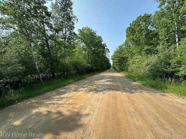 4456 Five Lakes Rd, North Branch, MI 48461 - photo 24