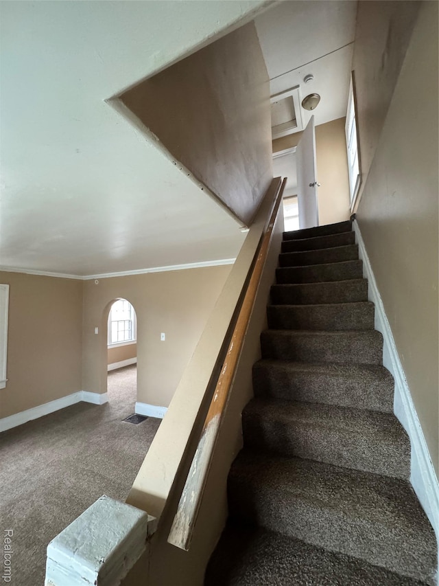 244 Nelson St, Pontiac, MI 48342 - stairs with baseboards, carpet, arched walkways, and crown molding