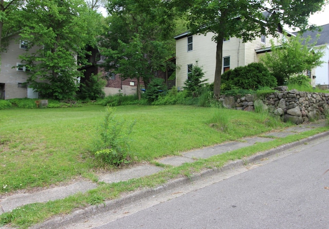 203 W Belmont St, Kalamazoo, MI 49001 - view of grassy yard