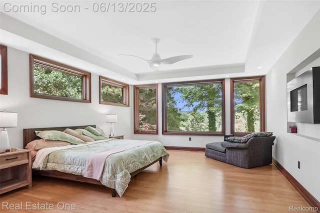 15349 Lakeside St, Plymouth, MI 48170 - bedroom with wood finished floors, a raised ceiling, and multiple windows