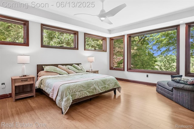 15349 Lakeside St, Plymouth, MI 48170 - bedroom featuring light wood finished floors, a ceiling fan, a raised ceiling, and recessed lighting