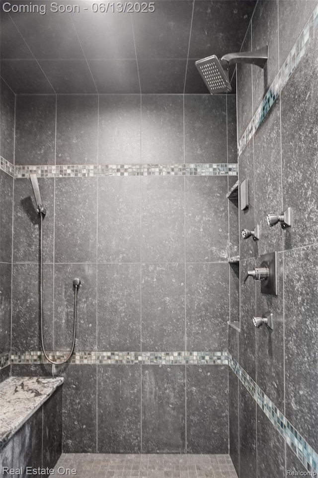 15349 Lakeside St, Plymouth, MI 48170 - bathroom with tiled shower