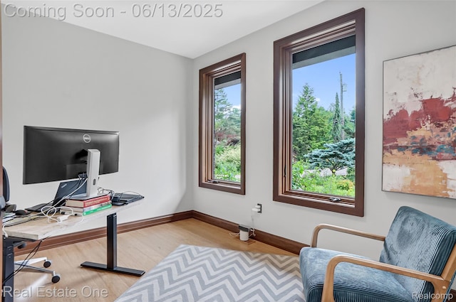 15349 Lakeside St, Plymouth, MI 48170 - office with light wood-type flooring and baseboards