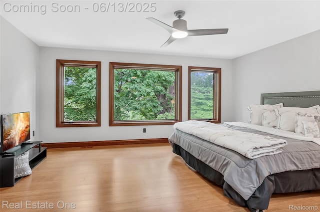 15349 Lakeside St, Plymouth, MI 48170 - bedroom with multiple windows, wood finished floors, and ceiling fan