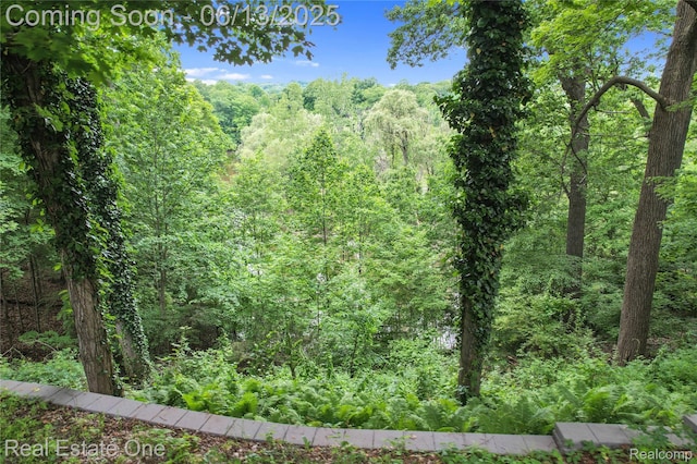 15349 Lakeside St, Plymouth, MI 48170 - view of tree filled area