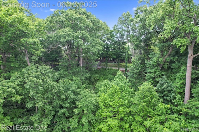 15349 Lakeside St, Plymouth, MI 48170 - view of local wilderness