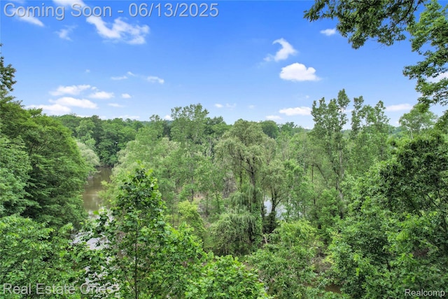 15349 Lakeside St, Plymouth, MI 48170 - view of woods