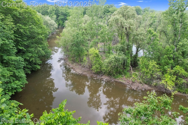 15349 Lakeside St, Plymouth, MI 48170 - water view