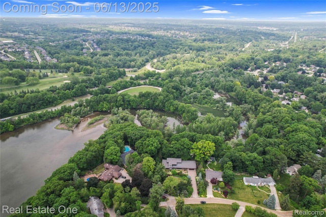 15349 Lakeside St, Plymouth, MI 48170 - view of property location with a large body of water and a forest