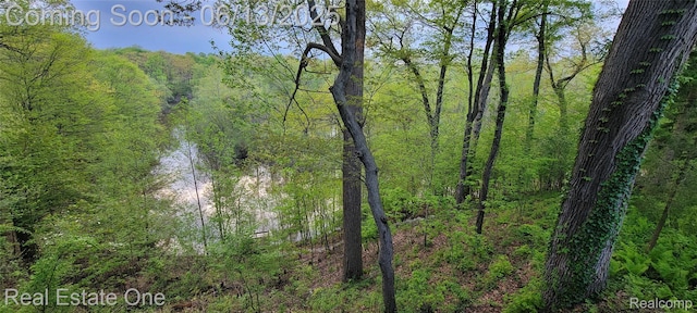 15349 Lakeside St, Plymouth, MI 48170 - view of tree filled area