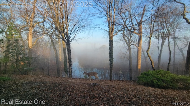 15349 Lakeside St, Plymouth, MI 48170 - water view