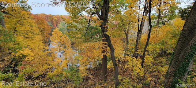 15349 Lakeside St, Plymouth, MI 48170 - view of tree filled area