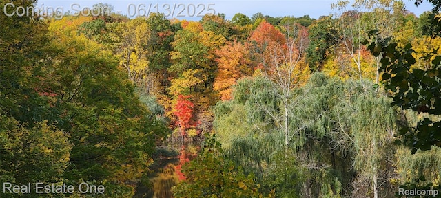 15349 Lakeside St, Plymouth, MI 48170 - view of wooded area