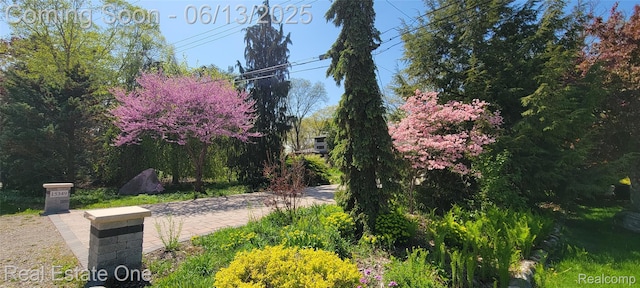 15349 Lakeside St, Plymouth, MI 48170 - view of home's exterior