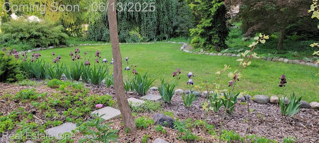 15349 Lakeside St, Plymouth, MI 48170 - view of grassy yard