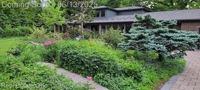 15349 Lakeside St, Plymouth, MI 48170 - view of yard
