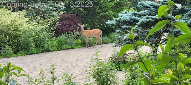 15349 Lakeside St, Plymouth, MI 48170 - view of community