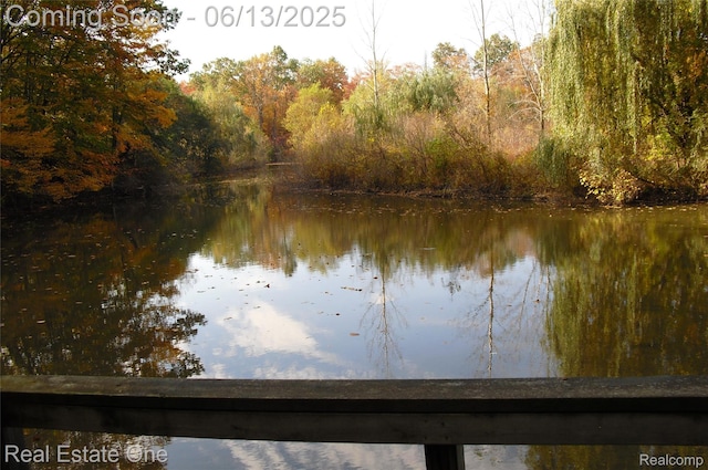 15349 Lakeside St, Plymouth, MI 48170 - water view with a forest