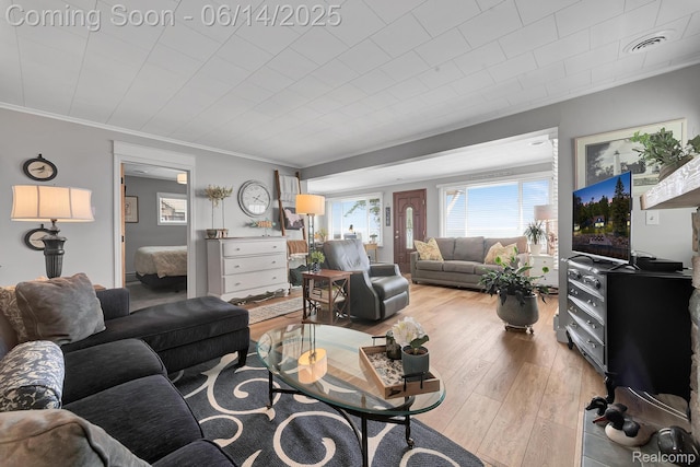 2968 Wolverine Rd, East Tawas, MI 48730 - living room featuring ornamental molding and hardwood / wood-style floors