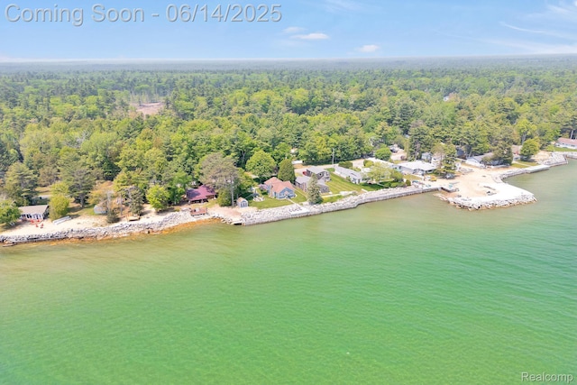 2968 Wolverine Rd, East Tawas, MI 48730 - bird's eye view of a heavily wooded area and a nearby body of water