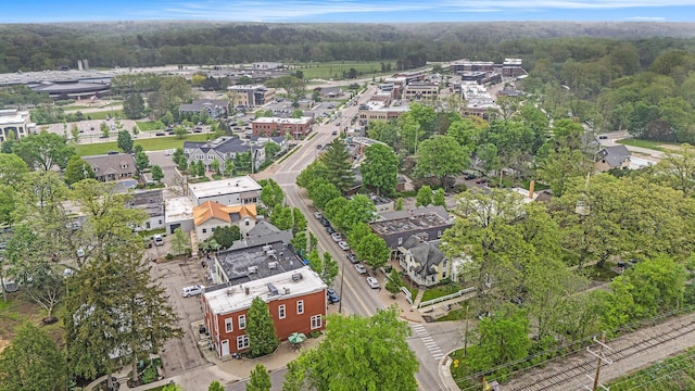 6526 Ada Dr SE, Ada, MI 49301 - aerial view of a heavily wooded area
