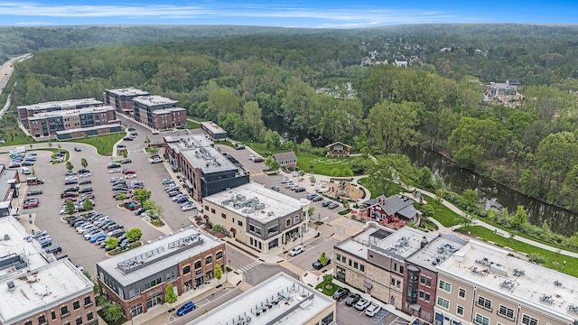 6526 Ada Dr SE, Ada, MI 49301 - aerial view of a forest