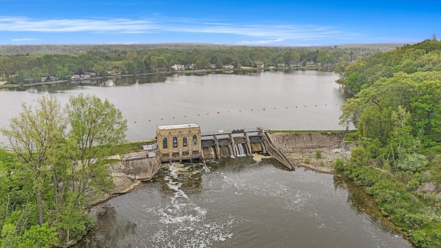 6526 Ada Dr SE, Ada, MI 49301 - dock with a water view and a view of trees