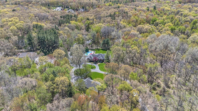 6526 Ada Dr SE, Ada, MI 49301 - aerial overview of property's location with a heavily wooded area
