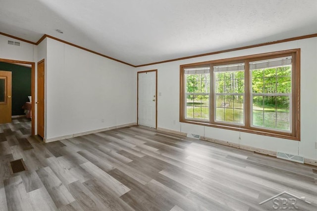 3251 W Dana Rd, Coleman, MI 48618 - unfurnished room with ornamental molding, light wood-type flooring, vaulted ceiling, and baseboards
