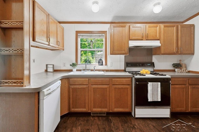 3251 W Dana Rd, Coleman, MI 48618 - kitchen featuring white appliances, under cabinet range hood, a sink, a textured ceiling, and dark wood-type flooring