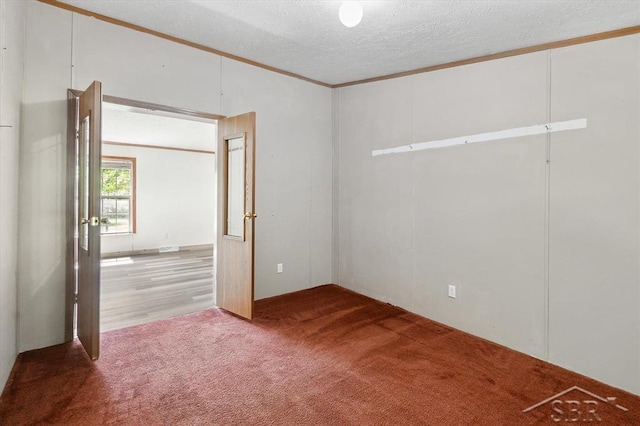 3251 W Dana Rd, Coleman, MI 48618 - spare room with carpet flooring, crown molding, and a textured ceiling