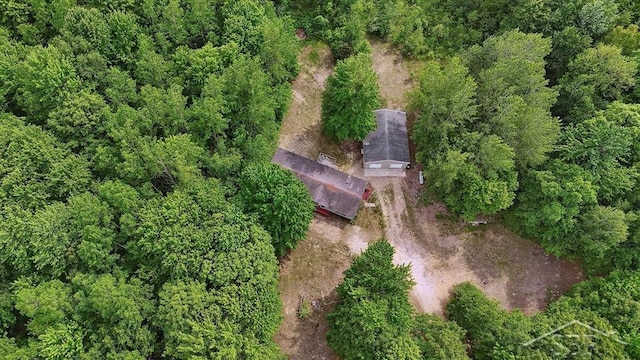 3251 W Dana Rd, Coleman, MI 48618 - aerial view of property and surrounding area