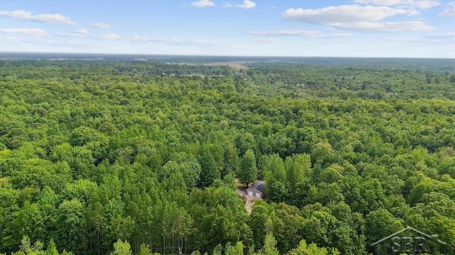 3251 W Dana Rd, Coleman, MI 48618 - aerial view of a forest