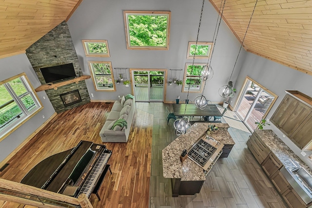 9725 Green Briar Rd, Lake Ann, MI 49650 - living area featuring high vaulted ceiling, a fireplace, wooden ceiling, and wood finished floors