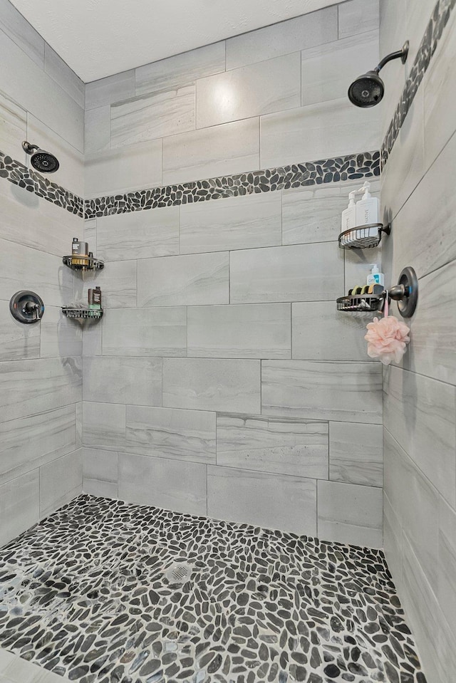 9725 Green Briar Rd, Lake Ann, MI 49650 - full bathroom featuring tiled shower