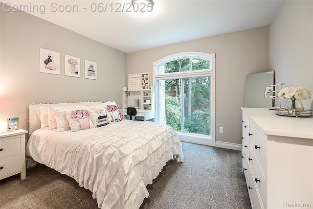 10327 9 Mile Rd, Whitmore Lake, MI 48189 - bedroom with dark carpet and baseboards