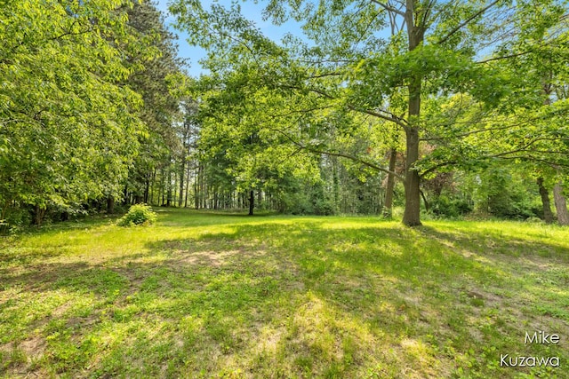 16742 148th Ave, Spring Lake, MI 49456 - view of yard featuring a forest view