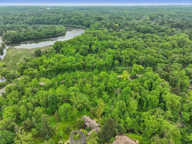 3377 Timberwood Ln, Ann Arbor, MI 48103 - aerial overview of property's location with a forest and a large body of water