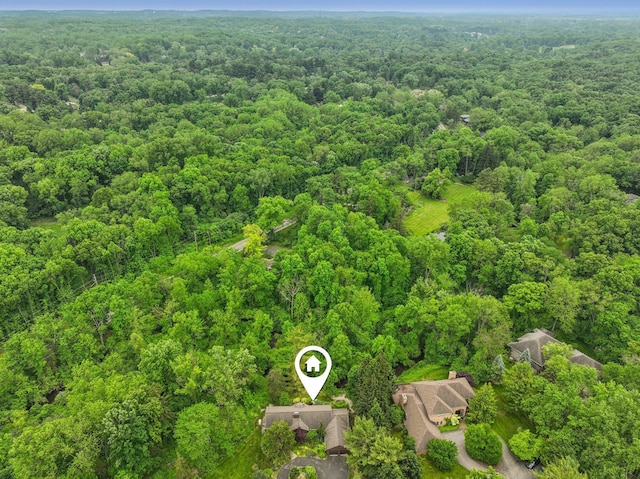3377 Timberwood Ln, Ann Arbor, MI 48103 - aerial view of a forest