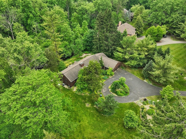 3377 Timberwood Ln, Ann Arbor, MI 48103 - view from above of property featuring a forest