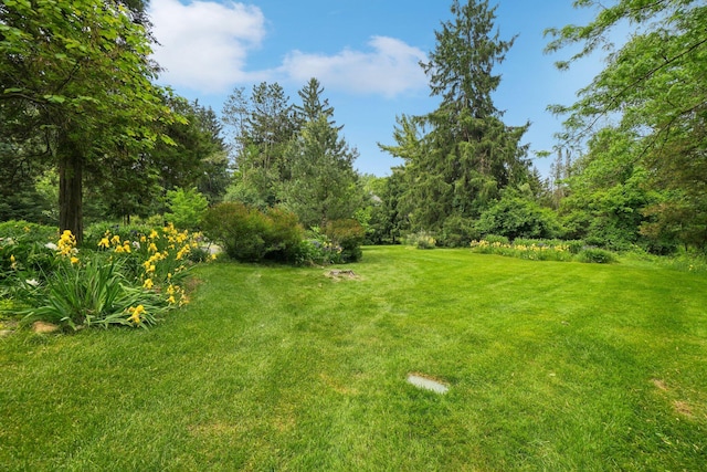 3377 Timberwood Ln, Ann Arbor, MI 48103 - view of green lawn