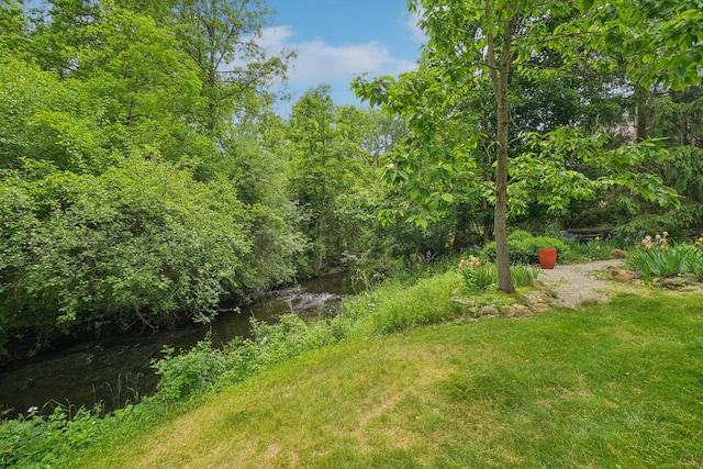 3377 Timberwood Ln, Ann Arbor, MI 48103 - view of grassy yard