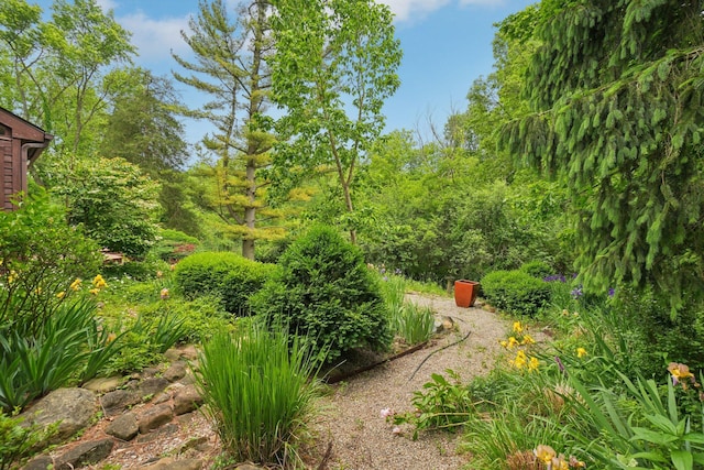 3377 Timberwood Ln, Ann Arbor, MI 48103 - view of yard