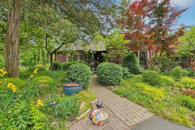 3377 Timberwood Ln, Ann Arbor, MI 48103 - view of yard
