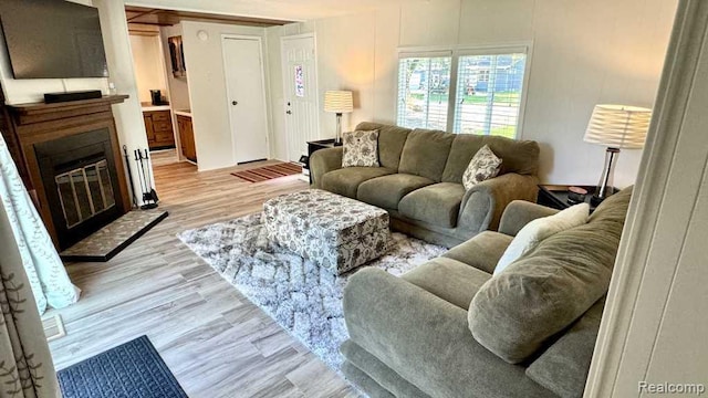 3840 Beech St, Burtchville, MI 48059 - living room featuring a glass covered fireplace and light wood finished floors