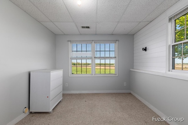 3882 40th St, Hamilton, MI 49419 - unfurnished room featuring plenty of natural light, a drop ceiling, baseboards, carpet, and wood walls