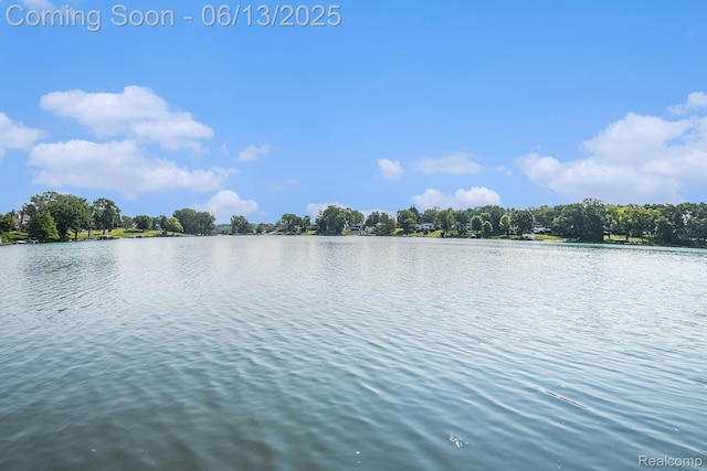 16039 Knobhill Dr, Argentine, MI 48451 - water view