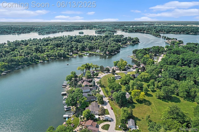 16039 Knobhill Dr, Argentine, MI 48451 - drone / aerial view of a large body of water
