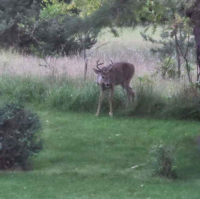 726 Gardenview Ct SW, Byron Center, MI 49315 - view of yard